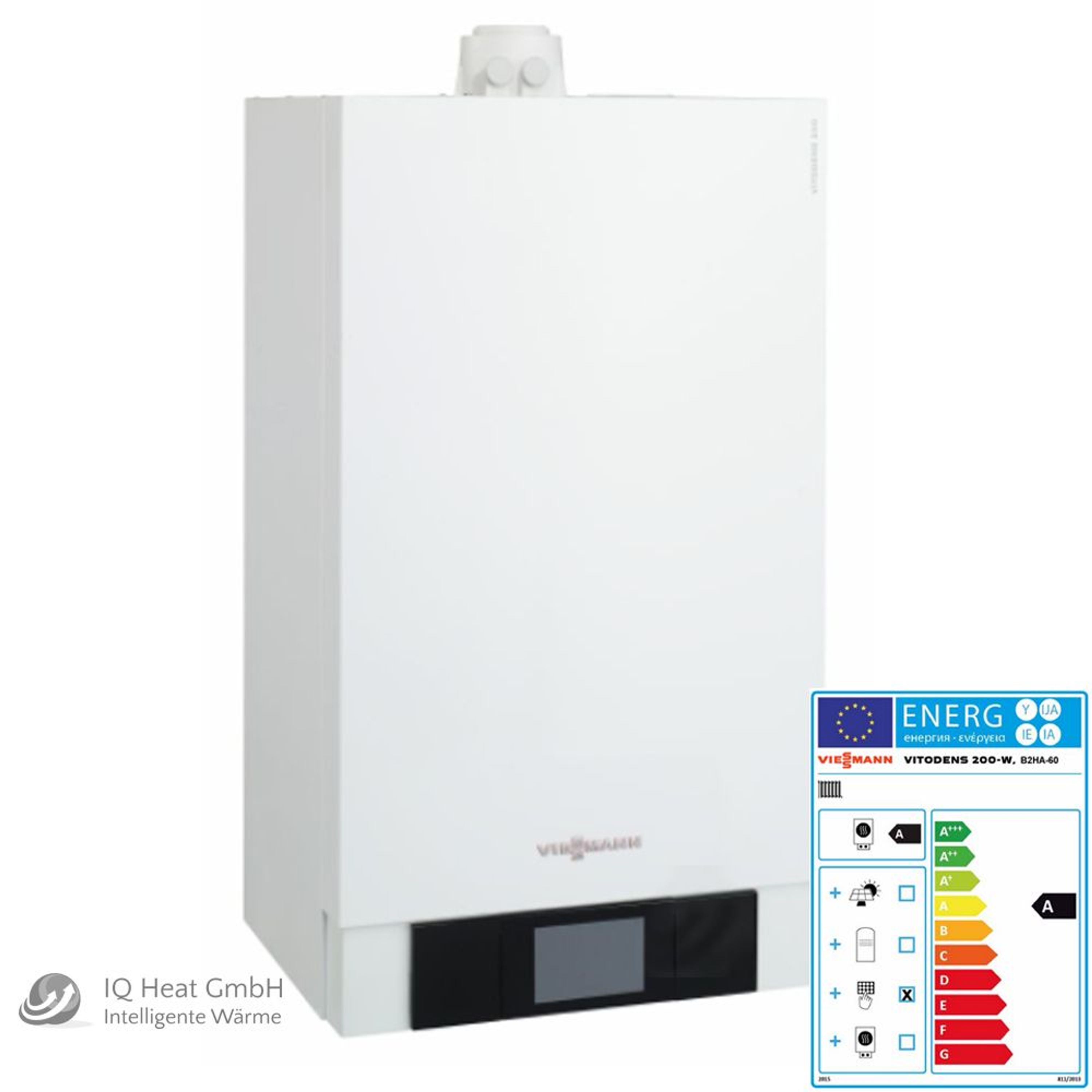 Viessmann Vitodens 100-W inside